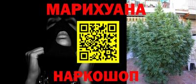 спайс Ачхой-Мартан