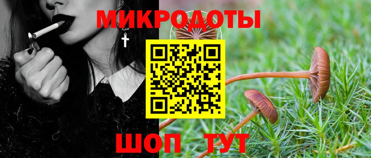 где можно купить   Галлюциногенные грибы Psilocybine cubensis  Вход с VPN  Псилоцибиновые грибы MAGIC MUSHROOMS  Сыктывкар 