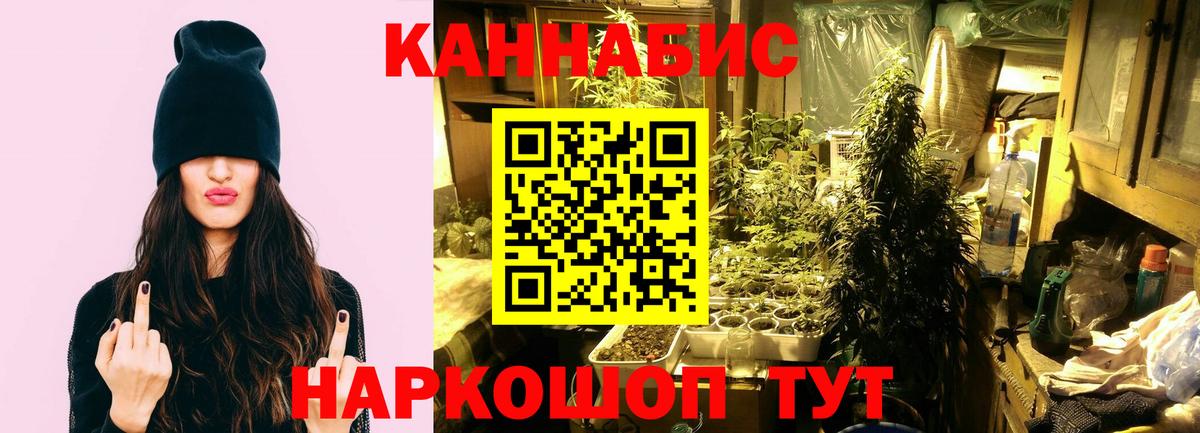Каннабис SATIVA & INDICA  Канабис Amnesia  Вход с VPN  Сыктывкар  Марихуана Ganja 